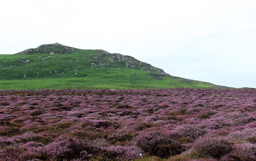 Carn Llundain north slopes.png