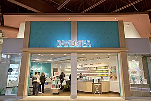 DAVIDsTEA Tsawwassen Mills storefront.jpg