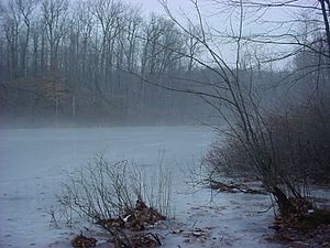 Devil's Bathtub, Mendon Ponds Park. Monroe County, NY.jpg