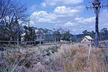 Diddillibah State School, Queensland QUT-7225.jpg