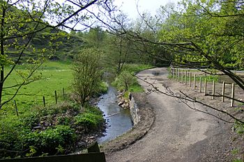 Ealees Brook.JPG