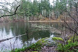 Elk Lake, Saanich, Canada 01.jpg