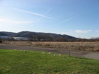 Fields at Legionville.jpg