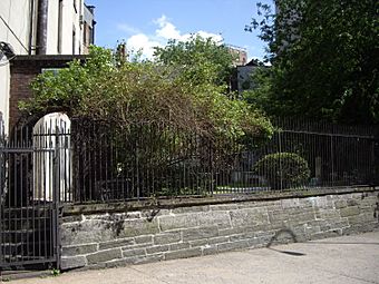 First-Shearith-Israel-Graveyard.jpg