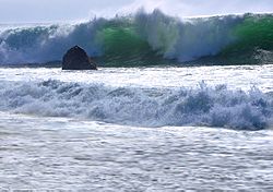 Garrapata Waves by Gustavo Gerdel