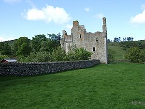 Glenbuchat Castle - geograph.org.uk - 446023