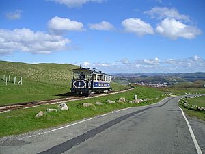 GreatOrme1-P4271287