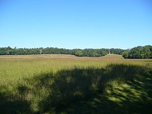 Horseshoe Ridge Chickamauga