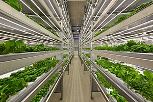 IFarm.fi Vertical farm Finland