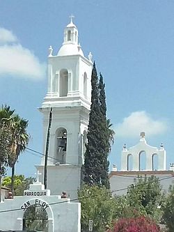 Iglesiasaneloy