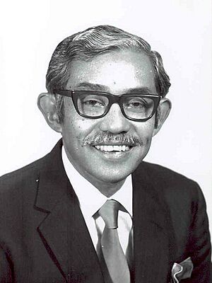 Ismail Abdul Rahman (4to3).jpeg