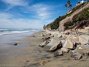 Leucadia state beach beacons