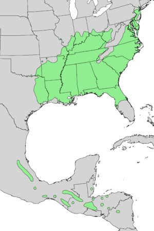 Liquidambar styraciflua range map 4.png