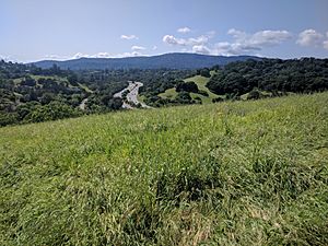 Matadero Creek Trail