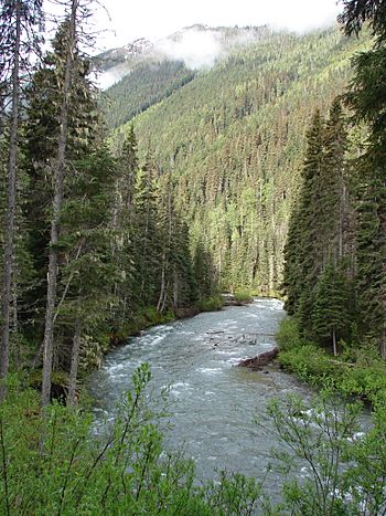 Milk River (Goat River).JPG