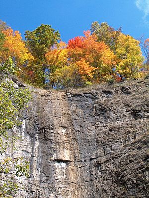 NaturalTunnelStatePark.wmg