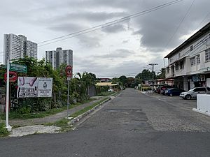 Parque Lefevre.jpg