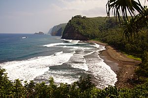 Pololu Beach