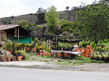 Raquira artesanias