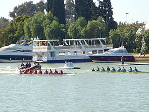 Regatsasevillabetis2009