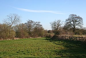 Shavington farmland