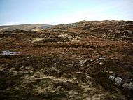 Summit plateau on Sheffield Pike