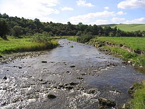 The Borthwick Water - geograph.org.uk - 235774