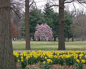 Tower Grove Park Scene 1.jpg