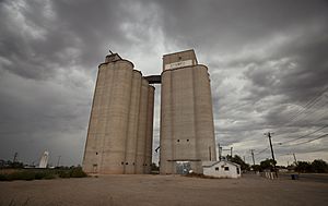 Tucumcari Grain Elevator 2011