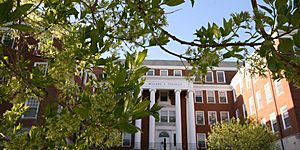 Tydings Chionanthus virginicus fringe tree