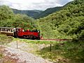 Vale Of Rheidol Railway - geograph.org.uk - 198800