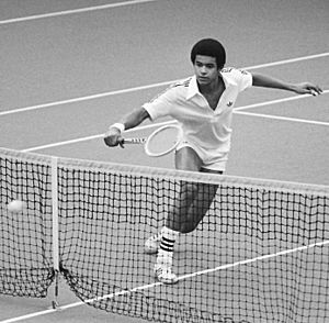 Yannick Noah (Davis Cup).jpg