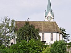 Zürichsee - Herrliberg IMG 2636