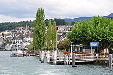 Zürichsee - Wädenswil IMG 2654