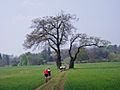 Bridleway in Ettington, Warwickshire