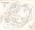 Buiston Crannog plan