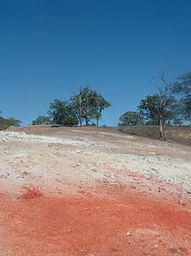 Burning Mountain Summit.jpg