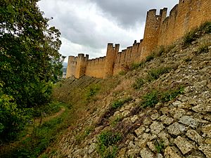 Castelo de Tomar 1