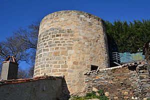 Castillo de Alcañices 01