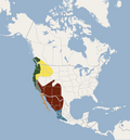 Distribution of Myotis yumanensis.png