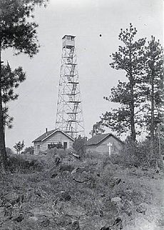 Drymountainlookout1930