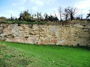 Eastern Face Former South Elmsall Quarry