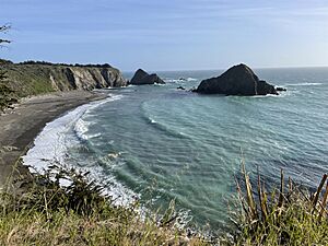 ElkBeach MendocinoCounty