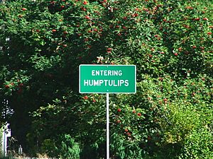 Entering Humptulips