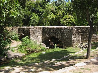 Espada Acequia.JPG