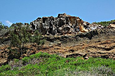 Fraser Island Cathedral cliffs.jpg