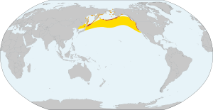 Fratercula cirrhata distribution map.svg