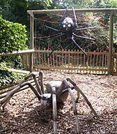 Giant Bug Walk spiders.jpg