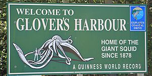 Welcome sign referencing the giant squid specimen of 1878 and its recognition by Guinness World Records