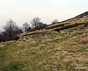 Hanging Bank - geograph.org.uk - 1213973